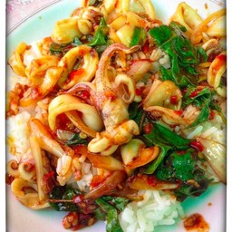 กระเพราปลาหมึกราดข้าว