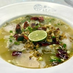 LT Fish Central Westgate