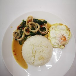 ผัดกระเพราปลาหมึก+ไข่ดาว