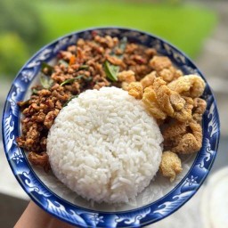 กะเพราพริกแห้งเทอดไท