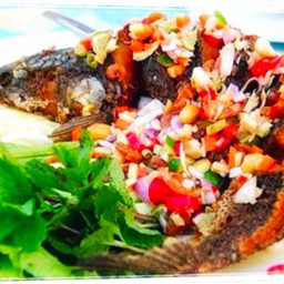 ปลาช่อนลุยสวน