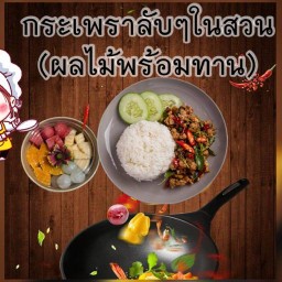 กระเพราลับๆในสวน(ผลไม้พร้อมทาน)