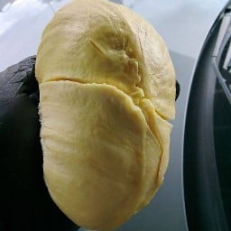 หมอนทองพ่อน้องจัสมิน