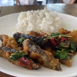 กระเพาปลาดุกทอด