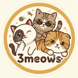 บ้านตุ้ยตามสั่งทอดสนั่น อยุธยา Ayuttaya city