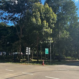 อุทยานแห่งชาติปางสีดา สระแก้ว