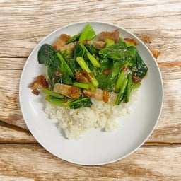 ข้าวราดคะน้าหมูกรอบ