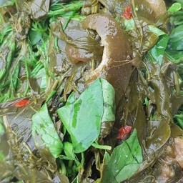 แกงขี้ใส่หยังวัว