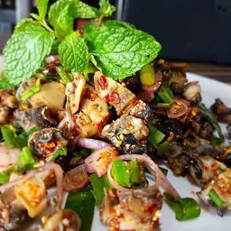 ก้อยหอยนา