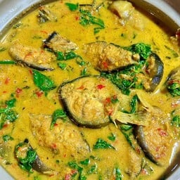 แกงกะทิปลาดุกใบยี่หร่า (เป็นกับ )