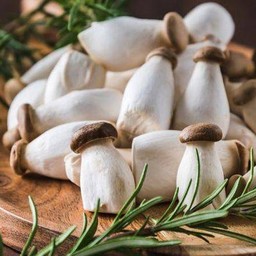 เห็ดออริจิ ไม้ละ