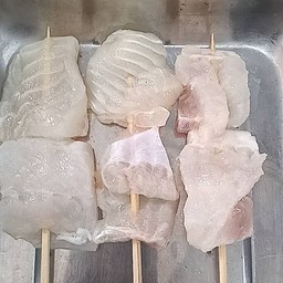 (ย่าง) ปลาแพนกาเซีย