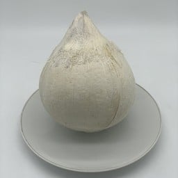 น้ำมะพร้าวบ้านแพ้ว