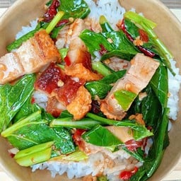 กะเพราแซ่บแสบแตด ราษฎร์บูรณะ