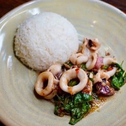 ข้าวกะเพราปลาหมึก