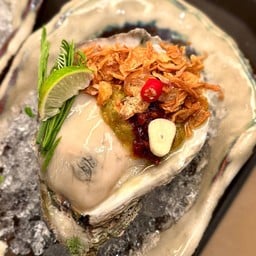 หอยนางรมสุราษ