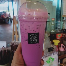 เผือกนมสด