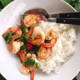 กระเพรากุ้งราดข้าว