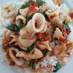 ข้าวกระเพราปลาหมึก