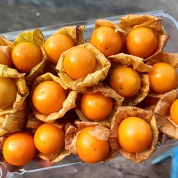 เคพกูสเบอรี่