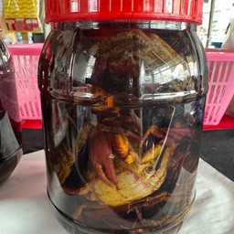 ปูนา ดอง