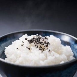 ข้าวญี่ปุ่น