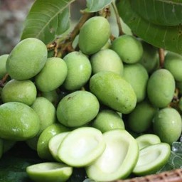 มะม่วงเบา  ( 1 กิโลกรัม )