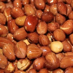 ถั่วลิสง