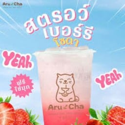 อรุ ชา ป่าตอง ภูเก็ต