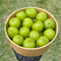 องุ่นไซมัสคัส