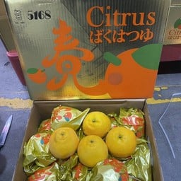 ส้มจุก พันธุ์ญี่ปุ่น (กล่องทอง) 1 kg