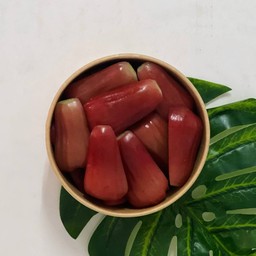 ชมพู่ทับทิมจันทร์