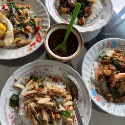 กะเพราปู กั้ง เจ้ทินหนองรี