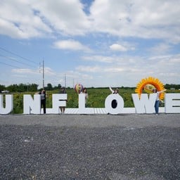 บ้านกล้วย&ไข่