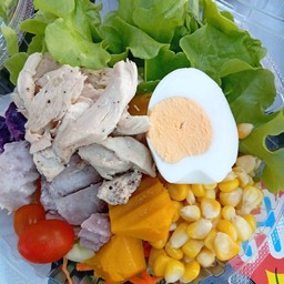 สลัดผักอกไก่
