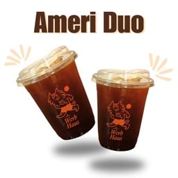 Ameri Duo