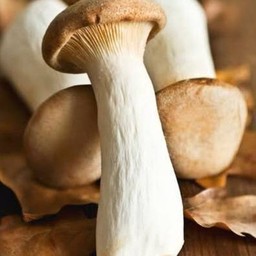 เห็ดออรินจิ โอเด้ง