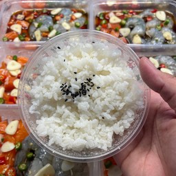 ข้าวญี่ปุ่น