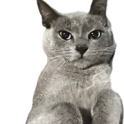 ให้ค่าขนมน้องใบเทา