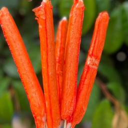 ปูอัดจัมโบ้