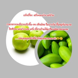 มะม่วง + ฝรั่ง แช่บ๊วย