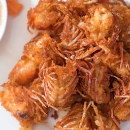 คางกุ้ง
