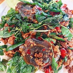 กะเพราะ เนื้อสับ ไข่เหยี่ยวม้า