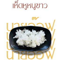 เห็ดหูหนูขาวลวก