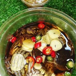 (เล็ก)ปูแป้น(ผู้ปนเมีย) ดองน้ำปลากวน