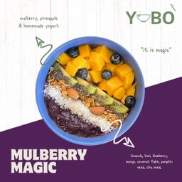 มัลเบอร์รี่เมจิก Mulberry magic
