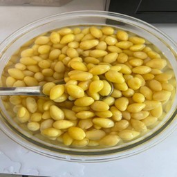 แปะก๊วย