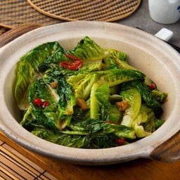 ัผักคอสน้ำมันหอย