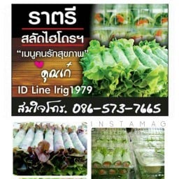 ครัววันดีราตรีสลัด