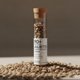 [GEISHA] [NINETY PLUS] JULIETTE - PANAMA [COMPETITION SERIES]